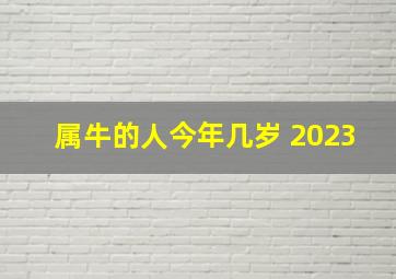 属牛的人今年几岁 2023